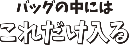 バッグの中にはこれだけ入る